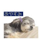 むーくん(実用)（個別スタンプ：4）