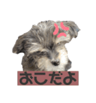 むーくん(実用)（個別スタンプ：6）