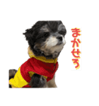 むーくん(実用)（個別スタンプ：8）