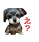 むーくん(実用)（個別スタンプ：9）