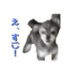 むーくん(実用)（個別スタンプ：10）