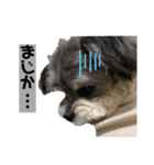むーくん(実用)（個別スタンプ：12）