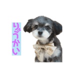 むーくん(実用)（個別スタンプ：13）