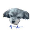 むーくん(実用)（個別スタンプ：17）