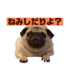 ナカムリヨンエイター（個別スタンプ：3）