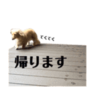 きちゃんだよ（個別スタンプ：9）