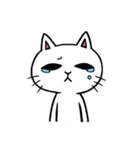 まったりしろねこ（個別スタンプ：4）