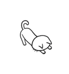 まったりしろねこ（個別スタンプ：19）