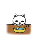 まったりしろねこ（個別スタンプ：22）
