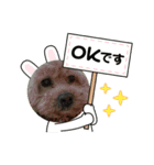 犬の挨拶です。（個別スタンプ：7）