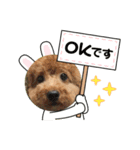 犬の挨拶です。（個別スタンプ：8）