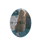 それゆけ金太（個別スタンプ：14）