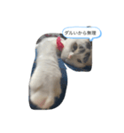 ごま様（個別スタンプ：3）