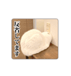 もろむくスタンプ5【敬語多め】（個別スタンプ：21）