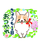 【動く♪飛び出す】毎日♡花とわんにゃん（個別スタンプ：19）