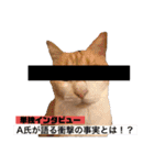 我が家の愉快な猫ズ（個別スタンプ：9）