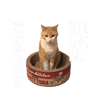 我が家の愉快な猫ズ（個別スタンプ：10）