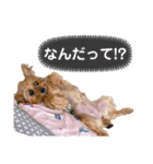 エラさんスタンプ②（個別スタンプ：4）