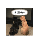 やまとくんに送るオリマリ（個別スタンプ：14）