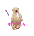 紫友会 子犬わちゃわちゃ✨（個別スタンプ：3）