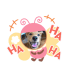 紫友会 子犬わちゃわちゃ✨（個別スタンプ：13）
