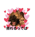 紫友会 子犬わちゃわちゃ✨（個別スタンプ：21）