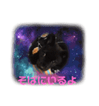 紫友会 子犬わちゃわちゃ✨（個別スタンプ：23）