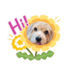 癒し犬ペグちゃん（個別スタンプ：2）