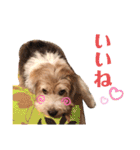癒し犬ペグちゃん（個別スタンプ：18）