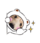 癒し犬ペグちゃん（個別スタンプ：19）