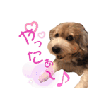 癒し犬ペグちゃん（個別スタンプ：26）