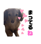 sorapipipi__（個別スタンプ：1）