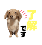 sorapipipi__（個別スタンプ：6）