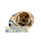 しょこらPart③（個別スタンプ：2）