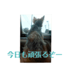 しょこらPart③（個別スタンプ：4）