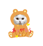 猫好きさん用『ななこ』フレームバージョン（個別スタンプ：1）