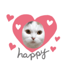 猫好きさん用『ななこ』フレームバージョン（個別スタンプ：2）