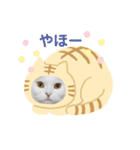 猫好きさん用『ななこ』フレームバージョン（個別スタンプ：3）