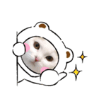猫好きさん用『ななこ』フレームバージョン（個別スタンプ：6）
