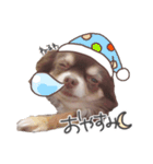 えんじぇるえーたんすたんぷ（個別スタンプ：2）