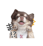 えんじぇるえーたんすたんぷ（個別スタンプ：9）