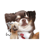 えんじぇるえーたんすたんぷ（個別スタンプ：10）