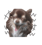 えんじぇるえーたんすたんぷ（個別スタンプ：11）