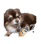 えんじぇるえーたんすたんぷ（個別スタンプ：14）