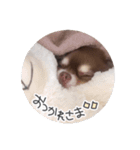 えんじぇるえーたんすたんぷ（個別スタンプ：16）