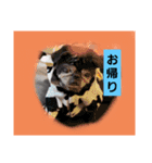 ぼくたちの生活（個別スタンプ：4）