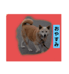 ぼくたちの生活（個別スタンプ：6）