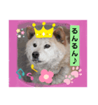 ぼくたちの生活（個別スタンプ：7）