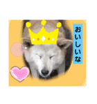 ぼくたちの生活（個別スタンプ：8）