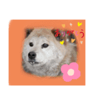 ぼくたちの生活（個別スタンプ：9）